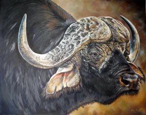 African Buffalo