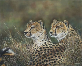Cheetah Brothers
