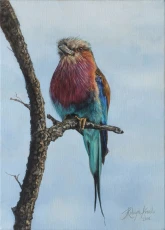 Lilac-Breasted Roller
