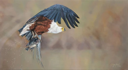 If A Bream Could Scream