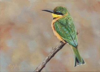 Mkhuze Bee-Eater (Little Bee-eater)