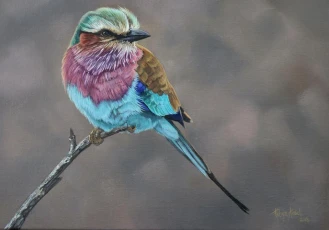 Lilac-Breasted Roller