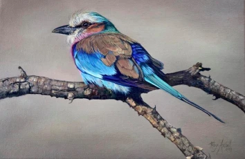 Lilac-breasted Roller