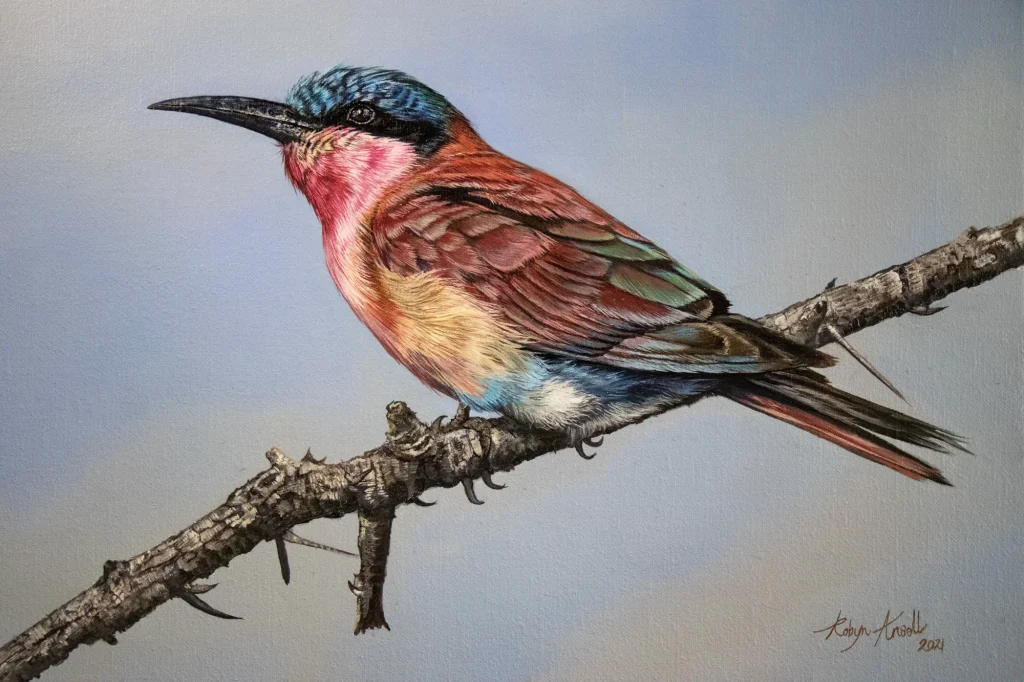 Carmine Bee eater