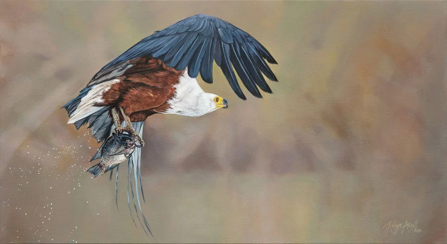 Fish Eagle In Flight