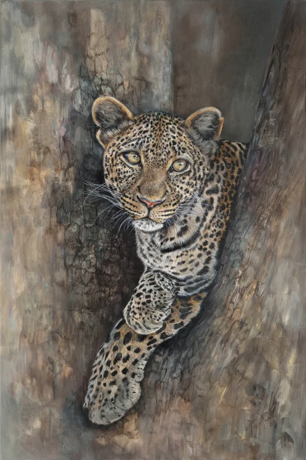 Leopard