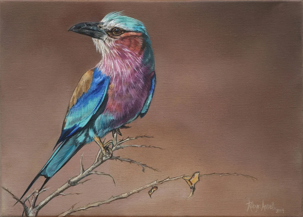 Lilac breasted Roller