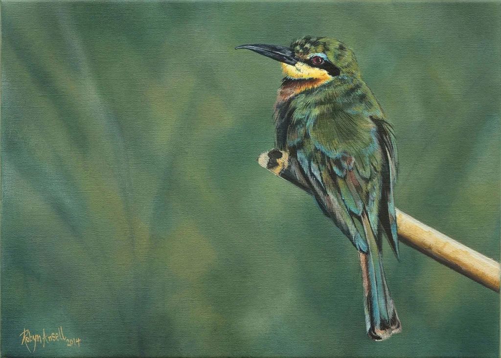 Little Bee eater 2