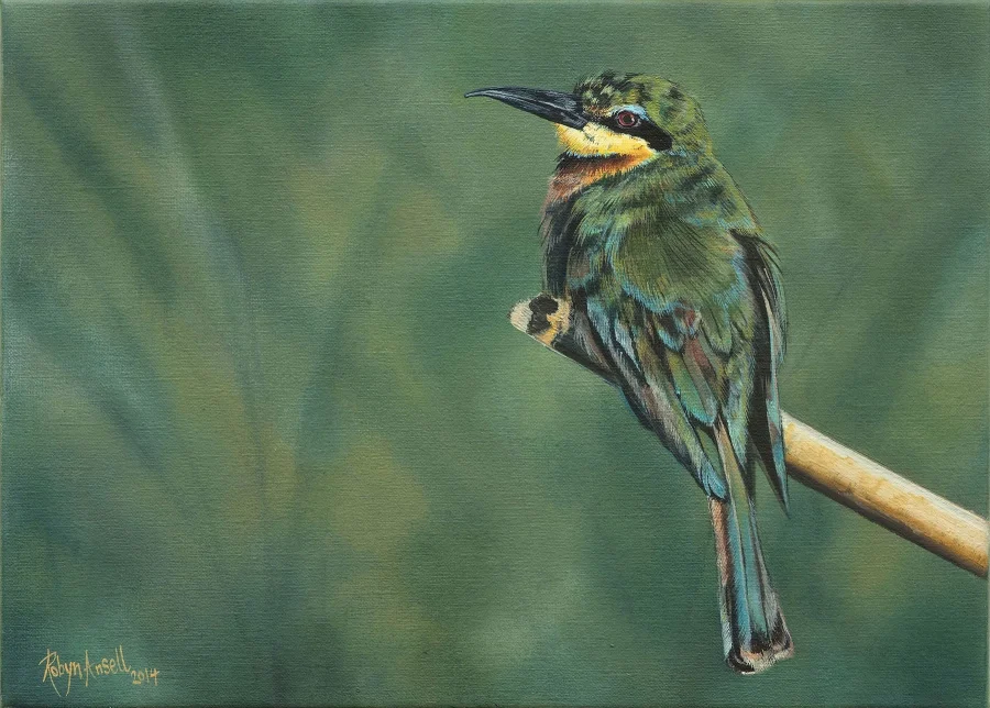 Little Bee eater 2