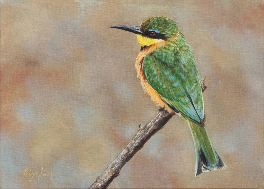 Little bee eater 1