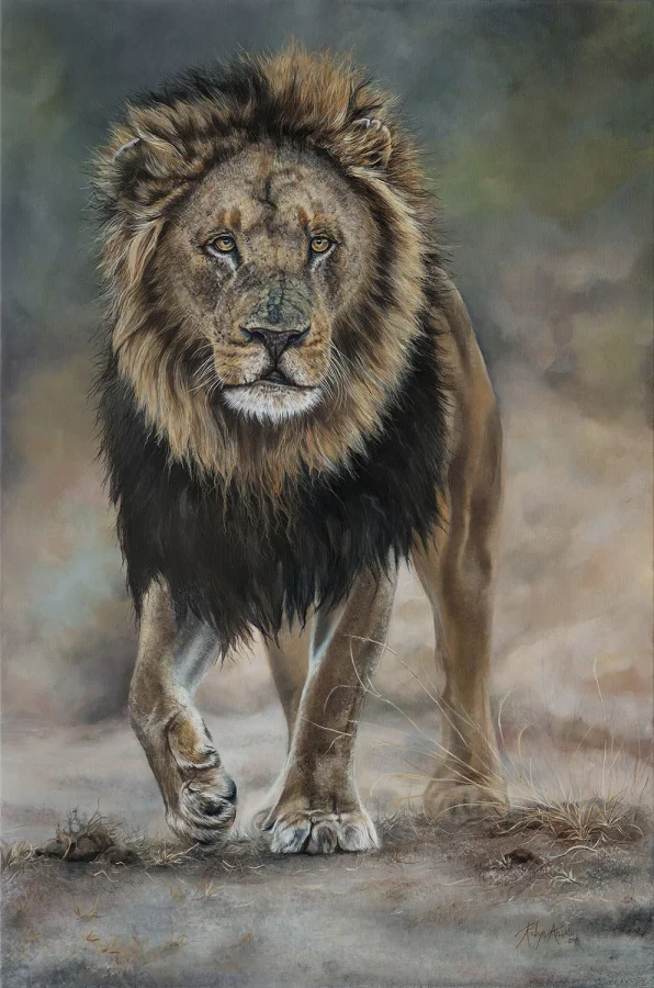 Male Lion