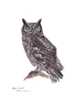 Spotted Eagle Owl