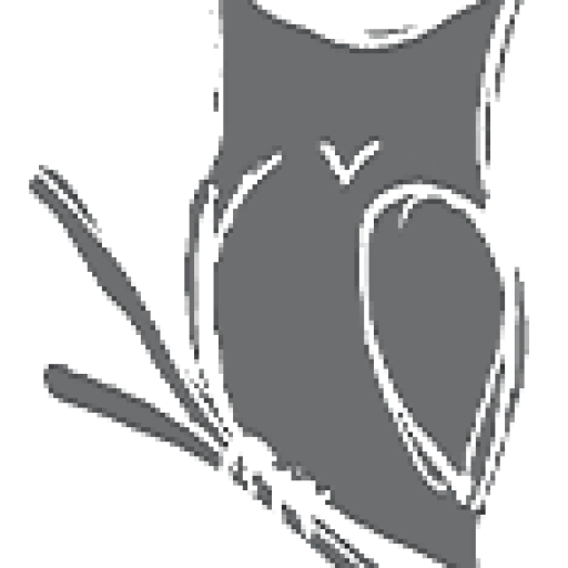 robynansellart.com logo