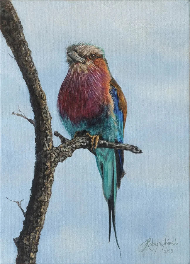 Lilac-breasted Roller #2