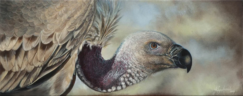 Vulture