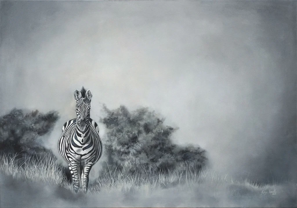 Zebra