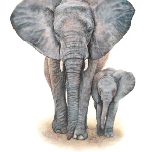 Elephants