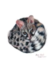 Genet