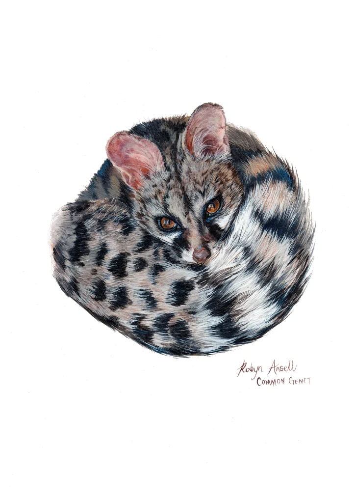 Genet