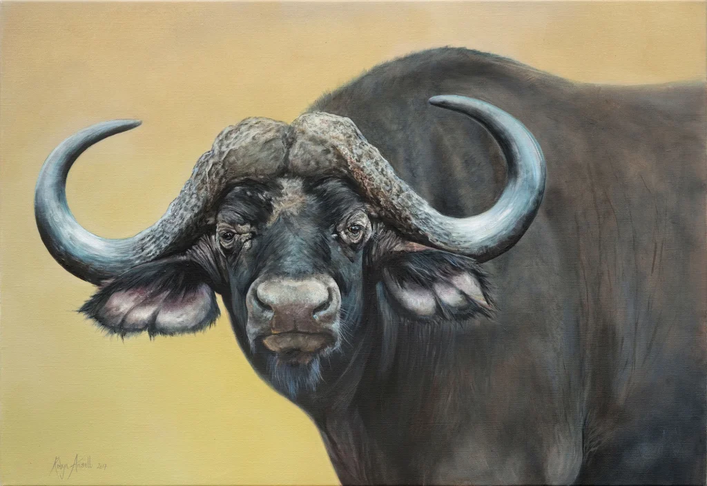 Buffalo #2