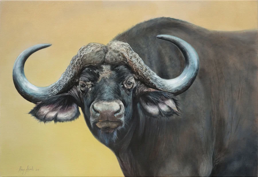 Buffalo #2