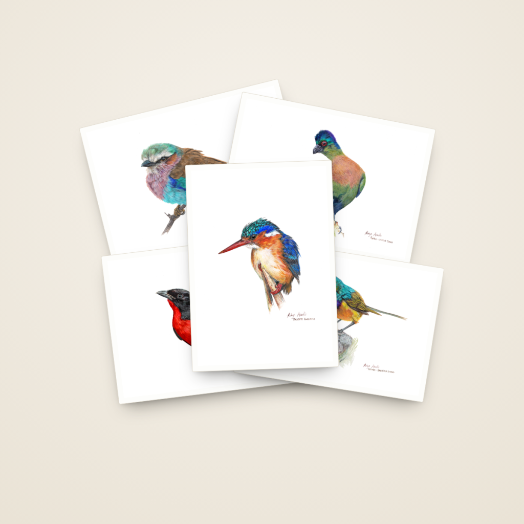 Greeting Card Builder